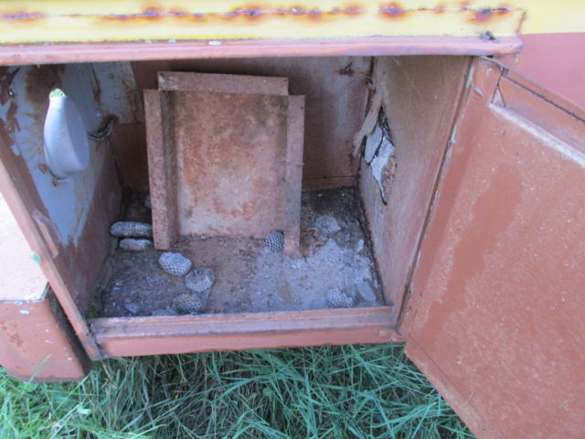 1967 Blue GMC G80 Cab & Chassis