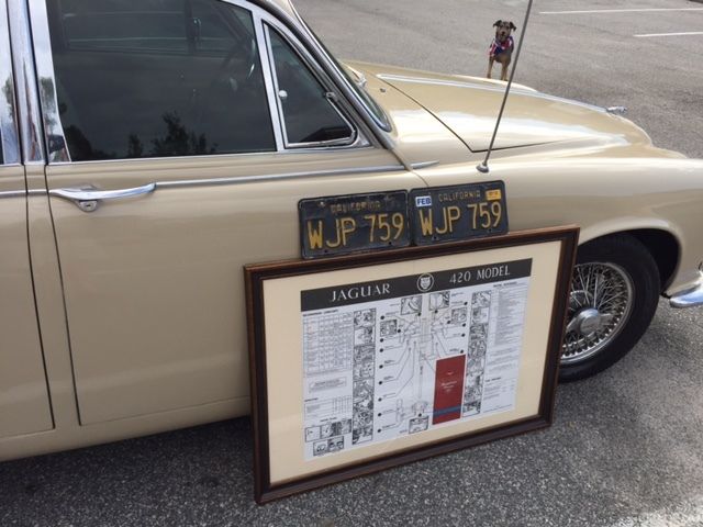 1967 Tan Jaguar Other Sedan