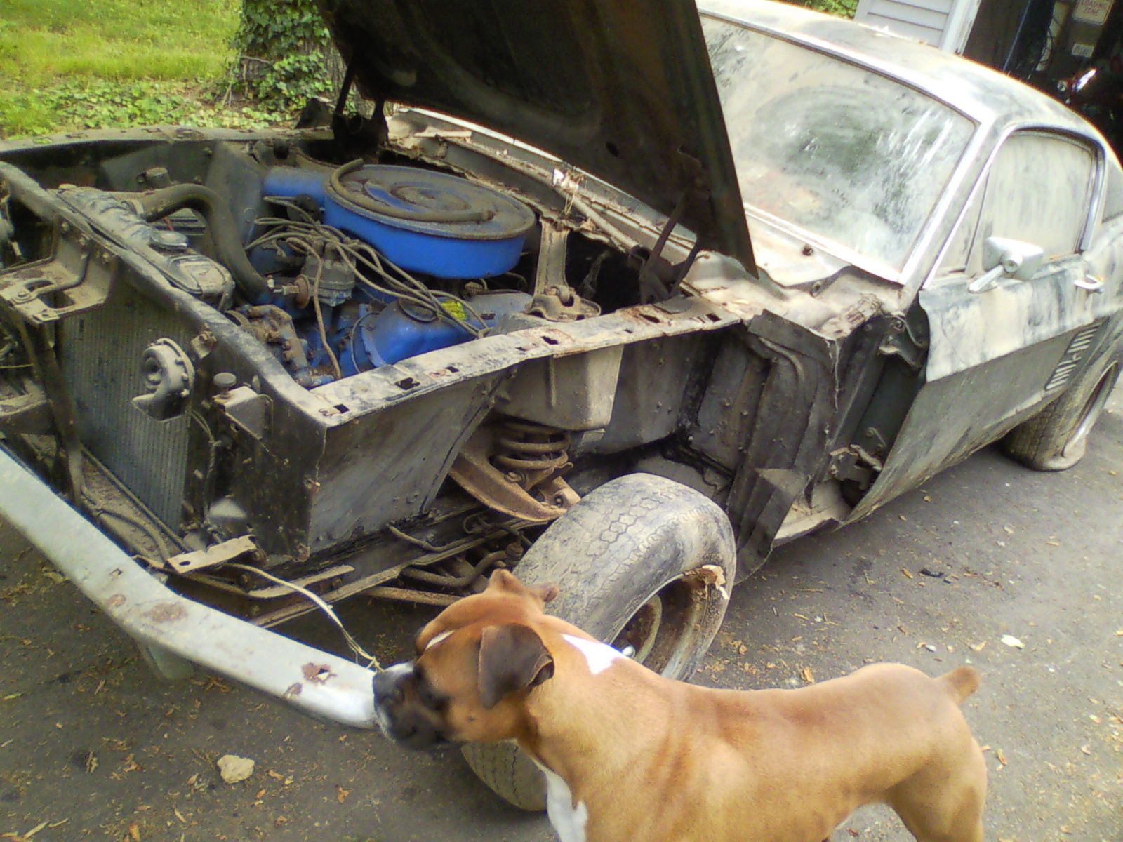 1967 Black Ford Mustang