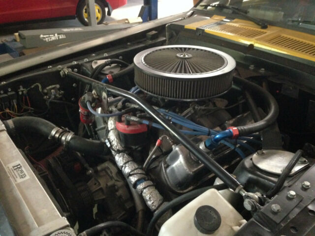 1967 Yellow and Black Ford Mustang Fastback