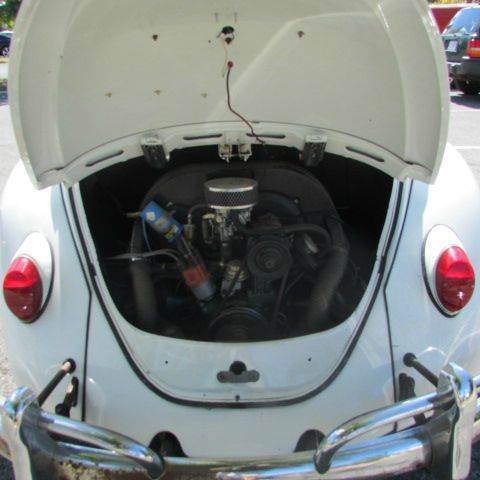 1967 White Volkswagen Beetle - Classic