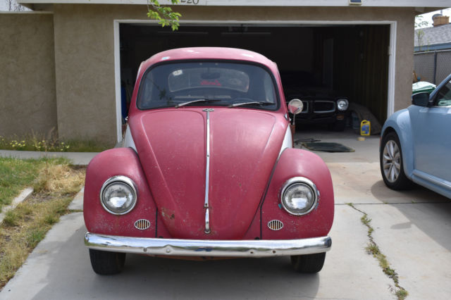 1967 Red Volkswagen Beetle - Classic