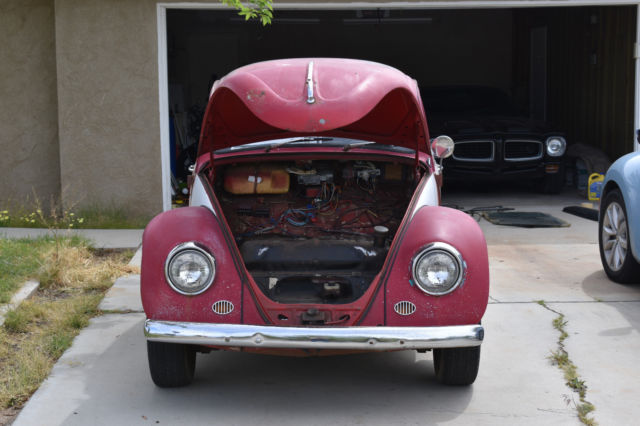 1967 Red Volkswagen Beetle - Classic