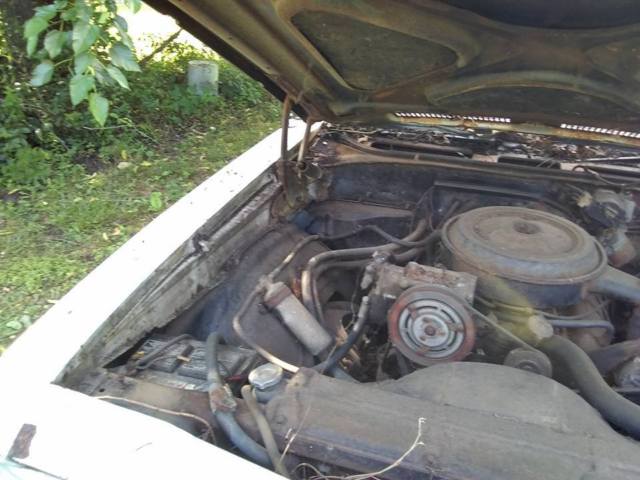 1968 white Chevrolet Chevelle