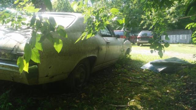 1968 white Chevrolet Chevelle
