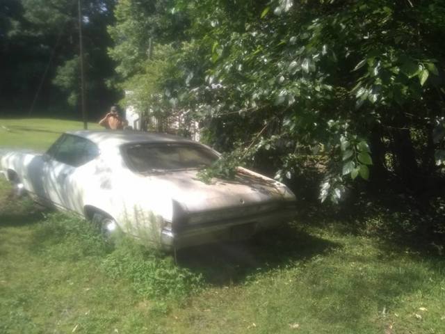 1968 white Chevrolet Chevelle