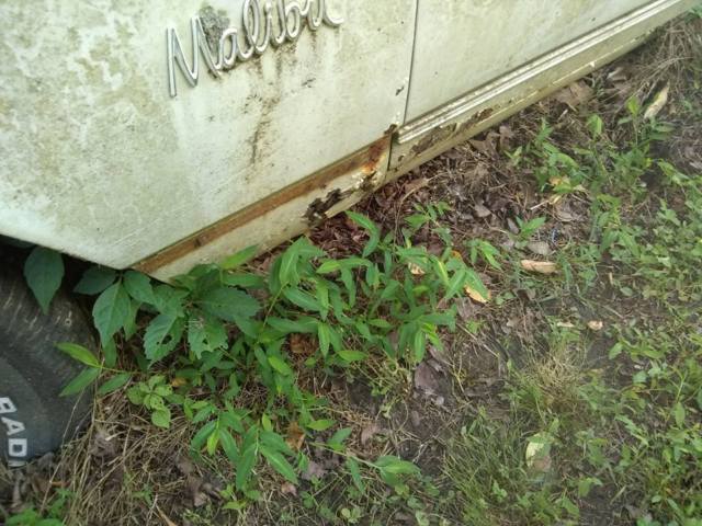 1968 white Chevrolet Chevelle