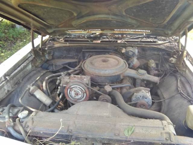 1968 white Chevrolet Chevelle