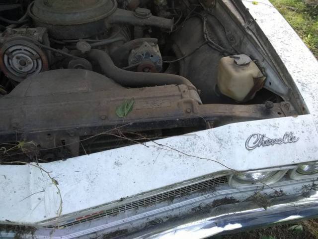 1968 white Chevrolet Chevelle