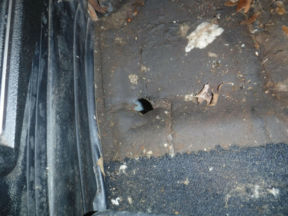 1968 Blue Chevrolet Chevelle Coupe