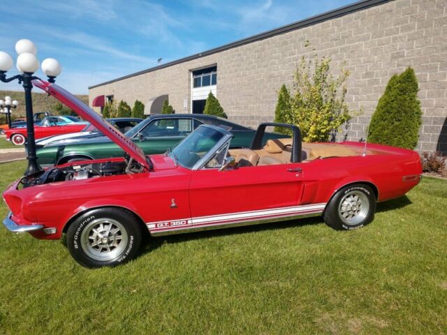 1968 -- Ford Shelby GT --