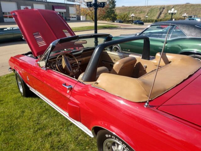 1968 -- Ford Shelby GT --