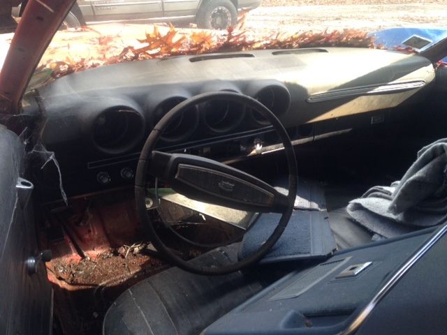 1968 Lime Gold Ford Torino 2 Dr Fastback