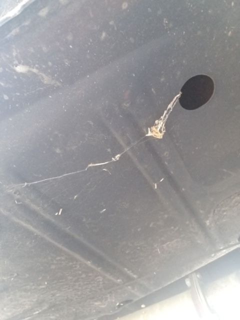 1968 Ford Mustang Coupe