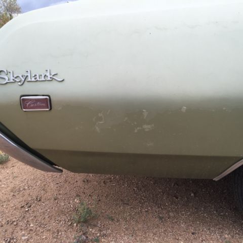 1969 Green Buick Skylark Hardtop