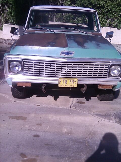 1969 Green Chevrolet Other Pickups Standard Cab Pickup