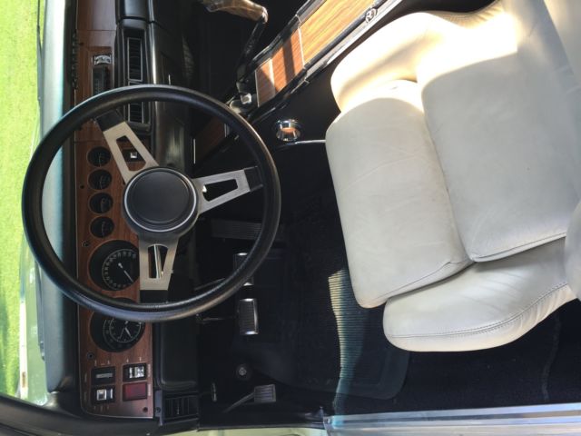 1969 Green Dodge Charger