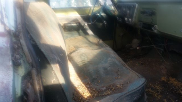 1969 Chevrolet C-10 Standard Cab Pickup