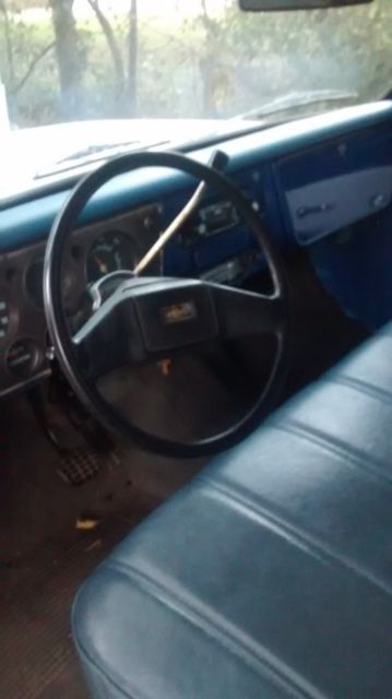 1969 Chevrolet C-10 Standard Cab Pickup