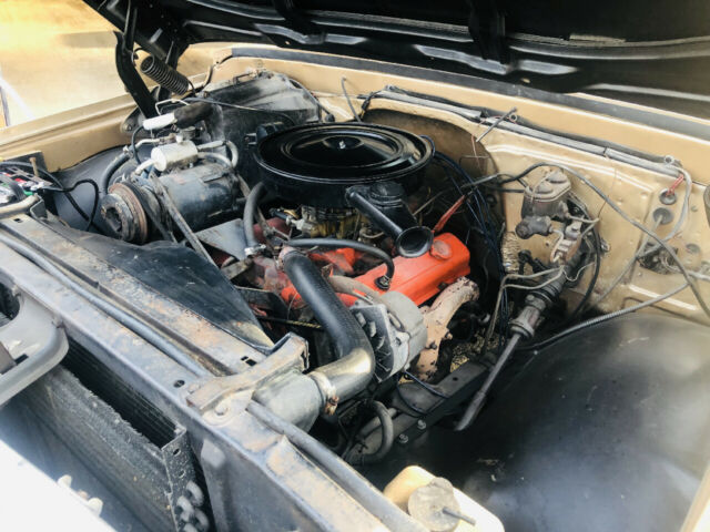 1969 Saddle Chevrolet Other --