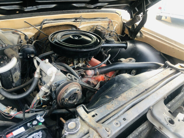 1969 Saddle Chevrolet Other --