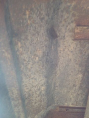 1969 Brown Chevrolet C-10 Standard Cab Pickup