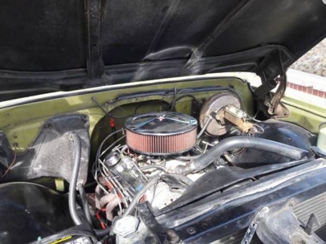 1969 Green Chevrolet C/K Pickup 1500 Standard Cab Pickup