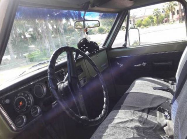 1969 Green Chevrolet C/K Pickup 1500 Standard Cab Pickup