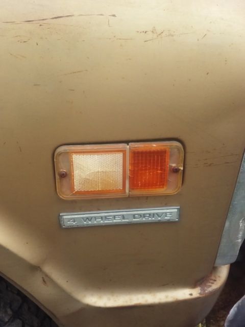 1969 Gold Chevrolet C-10 Short Bed Step Side