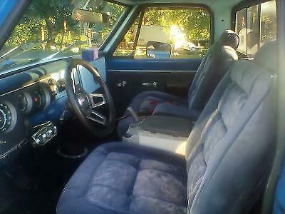 1969 Blue Chevrolet C-10 Standard Cab Pickup