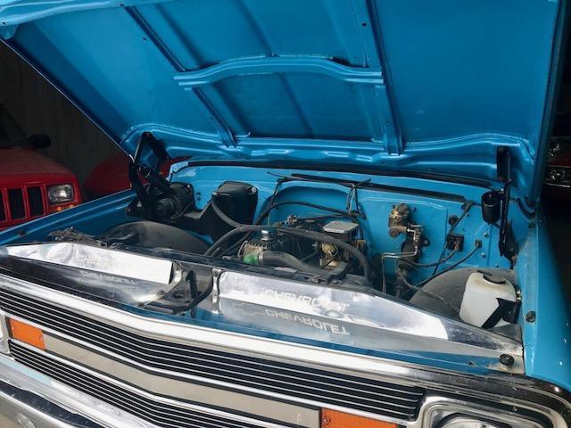 1969 Blue Chevrolet Other Pickups truck