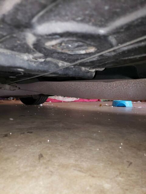 1969 Black Pontiac Firebird Convertible