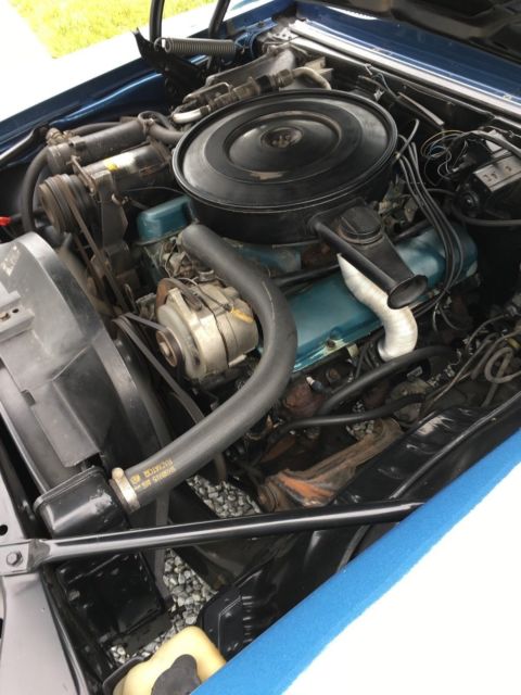 1969 Liberty Blue (both) Pontiac Firebird Coupe and Convertible