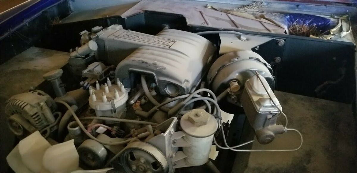 1969 Blue Ford Bronco