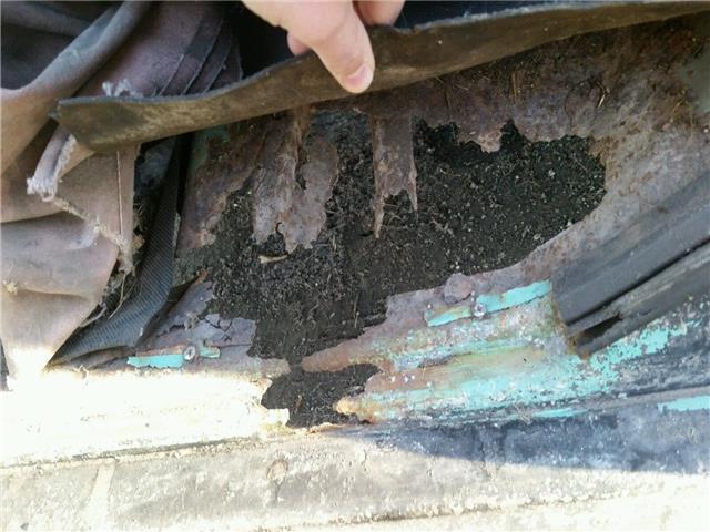 1969 Black Ford F-100 --