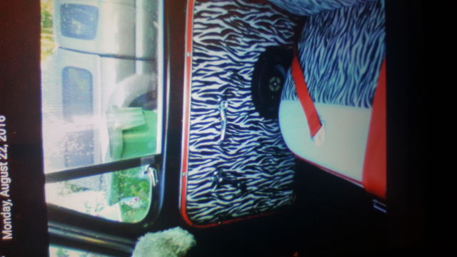 1969 White Ford F-100 Standard Cab Pickup