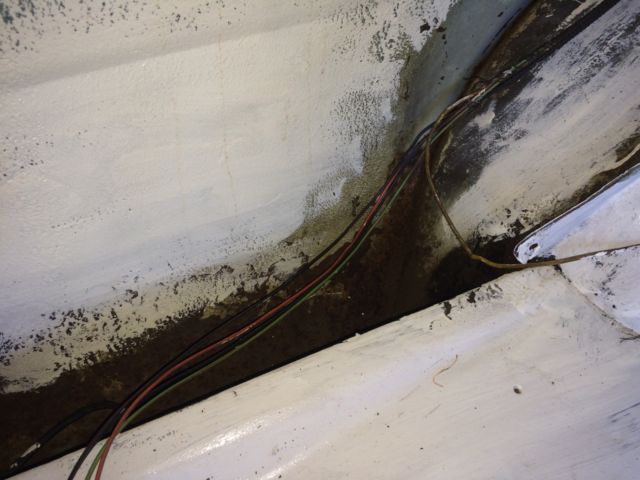 1969 Blue Ford Mustang Coupe