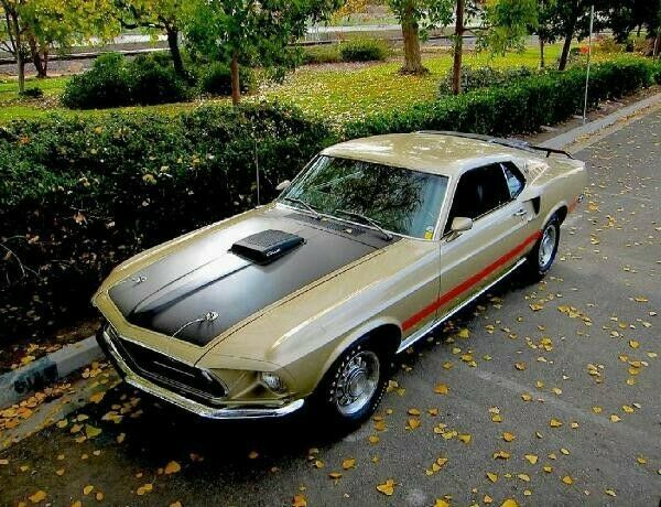 1969 Ford Mustang Fastback
