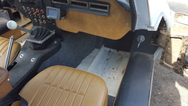 1969 primer Jaguar E-Type Coupe