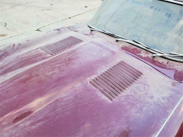 1969 -- Jaguar XK --