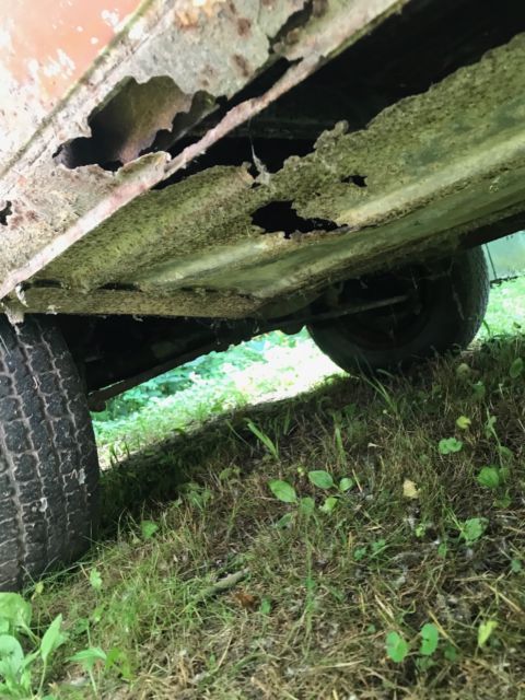 1969 Volkswagen Bus/Vanagon