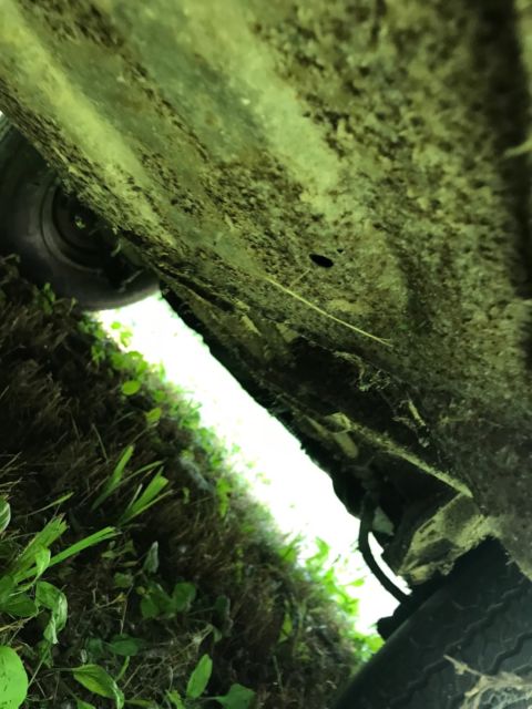 1969 Volkswagen Bus/Vanagon