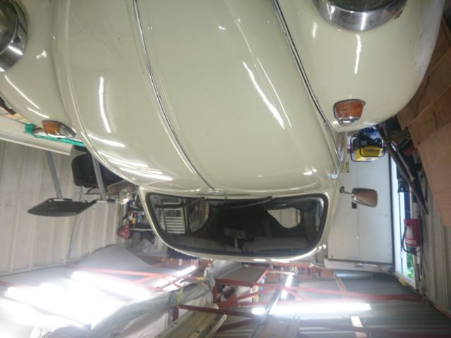 1969 white Volkswagen Beetle - Classic