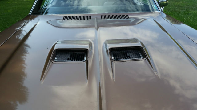 1970 Brown Buick Skylark Convertible