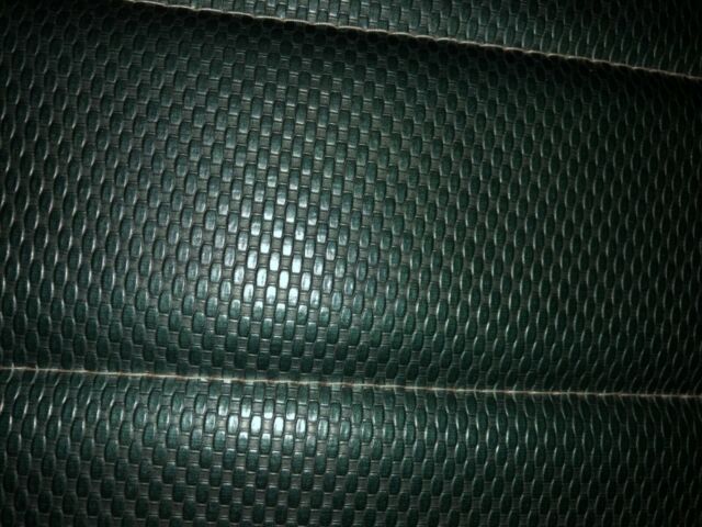 1970 Green Buick Skylark Coupe