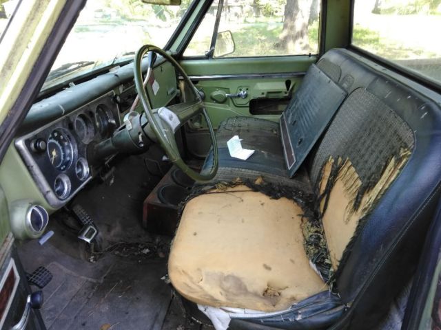 1970 Green Chevrolet C-10 Standard Cab Pickup