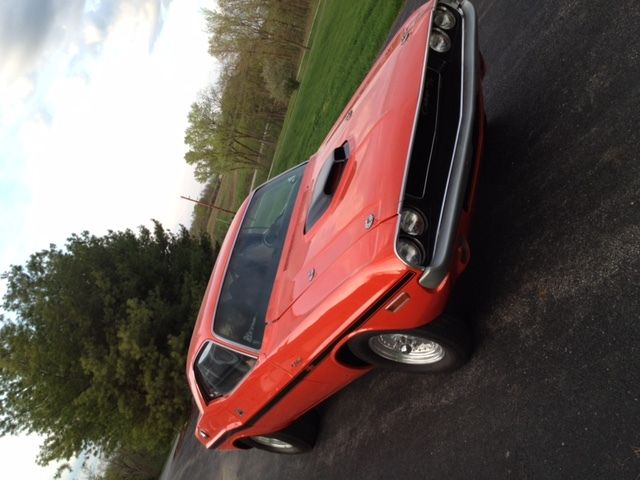 1970 gomango Dodge Challenger HT