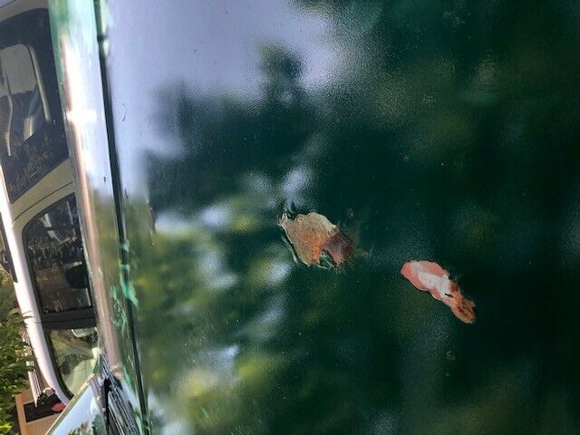 1970 Green Chevrolet Blazer Convertible