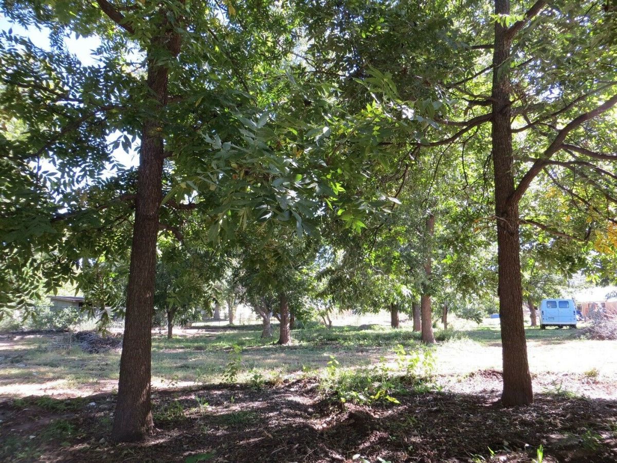 1970 Robins Egg Blue Ford E-Series Van Shorty