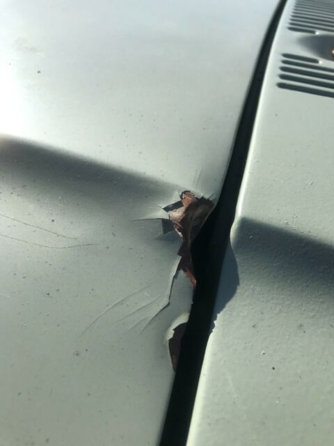 1970 Green Ford F-100 Standard Cab Pickup